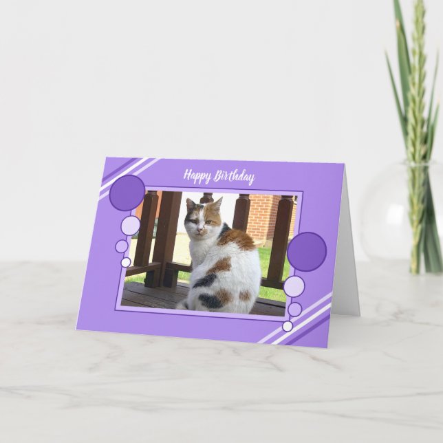 Cartão Calico cat sitting photo purple lilac birthday (Frente)
