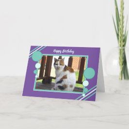 Cartão Calico cat sitting photo purple turquoise birthday