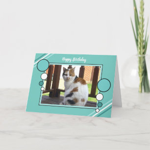 Cartão Calico cat sitting photo turquoise green birthday