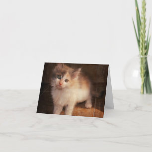 Cartão Calico Kitten Notecard