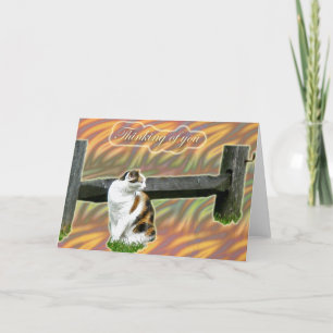 Cartão Calico Kitty Cat Pensando em você