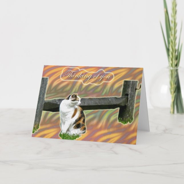 Cartão Calico Kitty Cat Pensando em você (Frente)