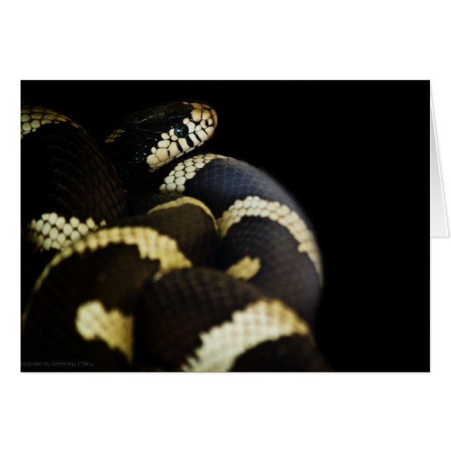Cartão California King Cobra Card (Frente horizontal)