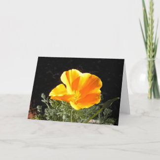 Cartão California Poppy em Bloom