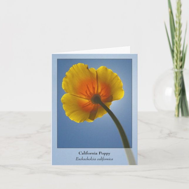 Cartão California Poppy - Native Notecard (Frente)