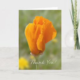 Cartão California Poppy Thank You