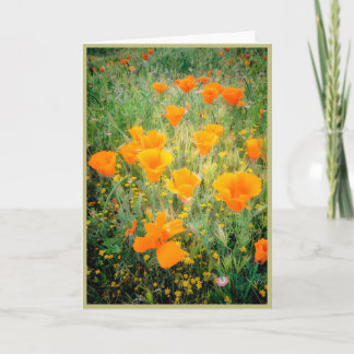 Cartão California Poppy's