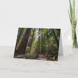 Cartão California Redwoods Greeting card