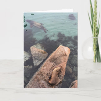 Cartão california sea life greeting card (blank inside) 