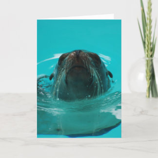 Cartão "California Sea Lion" Greeting Card