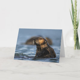 Cartão California Sea Otter