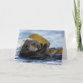 Cartão California Sea Otters