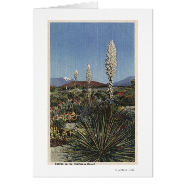 Cartão CaliforniaYucca Cactos em Bloom no Deserto (Frente)