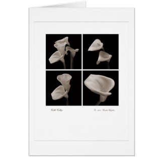 Cartão Calla_flowers_2010_Brochure