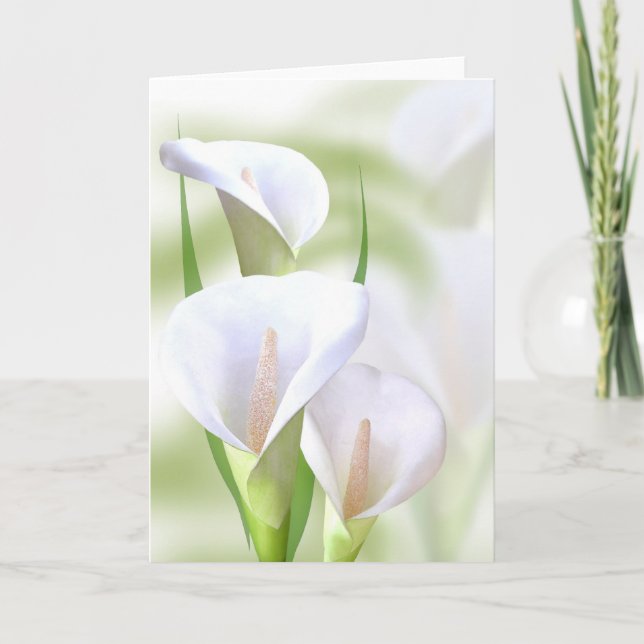 Cartão Calla Lilly Card (Frente)