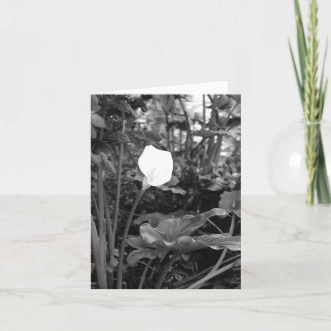 Cartão Calla Lily (Frente)