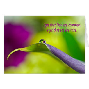 Cartão Calla Lily Água Gota