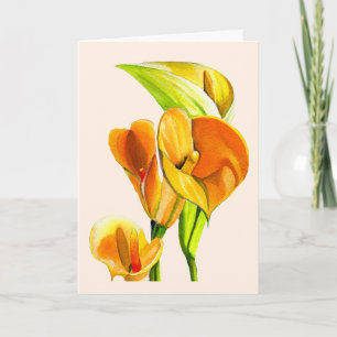 Cartão Calla lily blosom aquoso floral