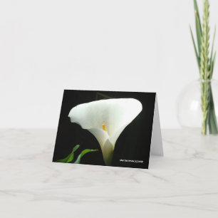 Cartão Calla Lily em Preto