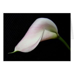 Cartão Calla Lily Flower Card