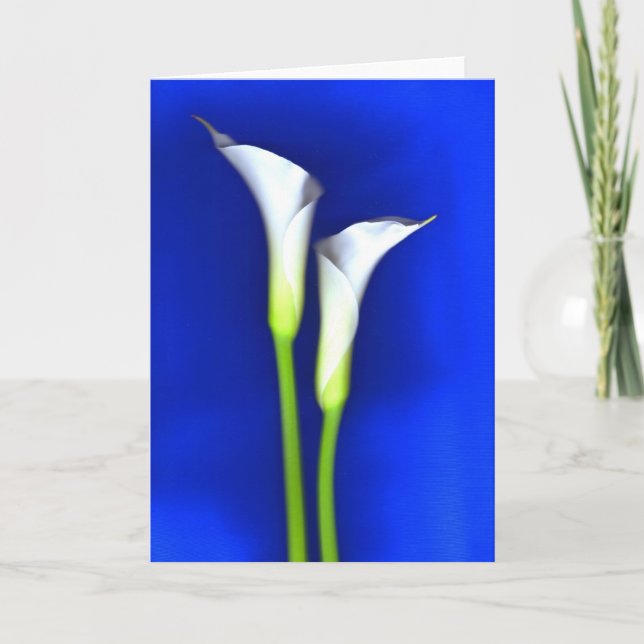 Cartão Calla Lily Greeting Card (Frente)