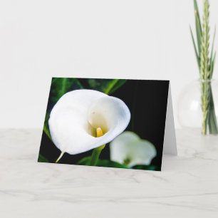 Cartão Calla Lily Greeting Card