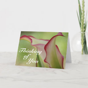 Cartão Calla Lily Greeting Card