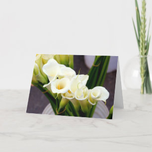Cartão calla lily greeting card