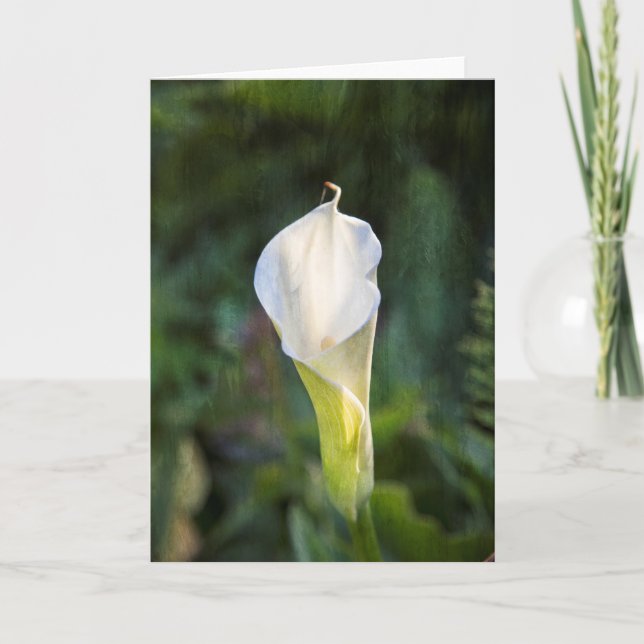 Cartão Calla lily greeting card (Frente)
