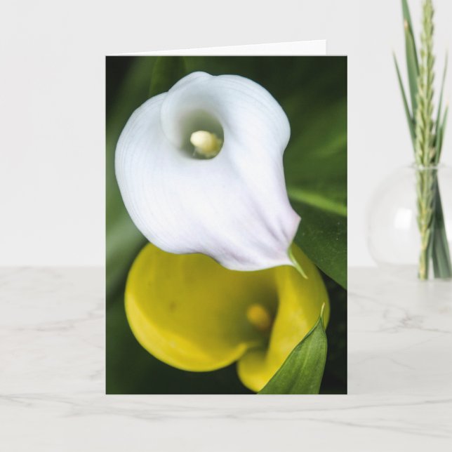 Cartão Calla Lily Greeting Card (Frente)