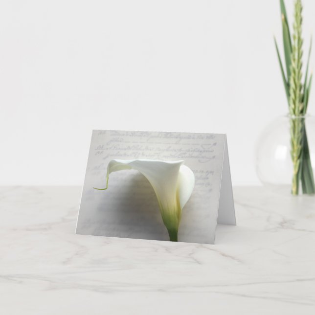 Cartão calla lily on old script handwriting note card (Frente)