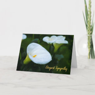 Cartão Calla Lily Raindrop Sympathy