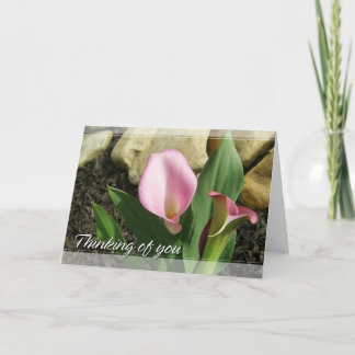 Cartão Calla Lily Thinking of You