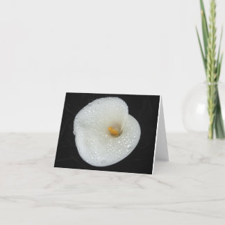 Cartão CallaLily after an evening shower NoteCard