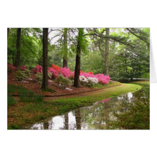 Cartão Callaway Stream