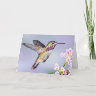 Cartão Calliope Hummingbird Flying in Purple Sympathy