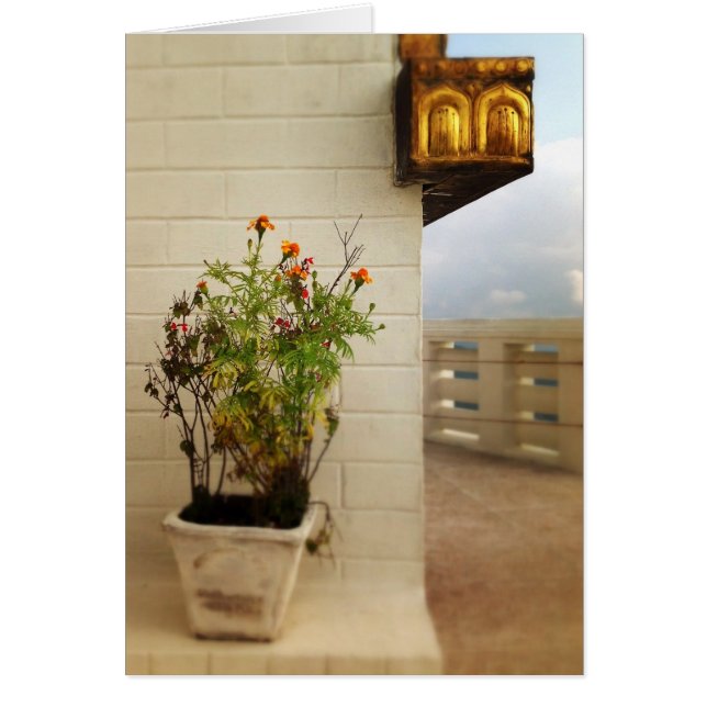 Cartão Calma e espaço no Nepal (Frente)