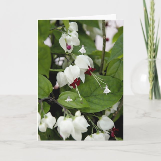 Cartão Camadas de Sombra dos Sinos Brancos (Frente)