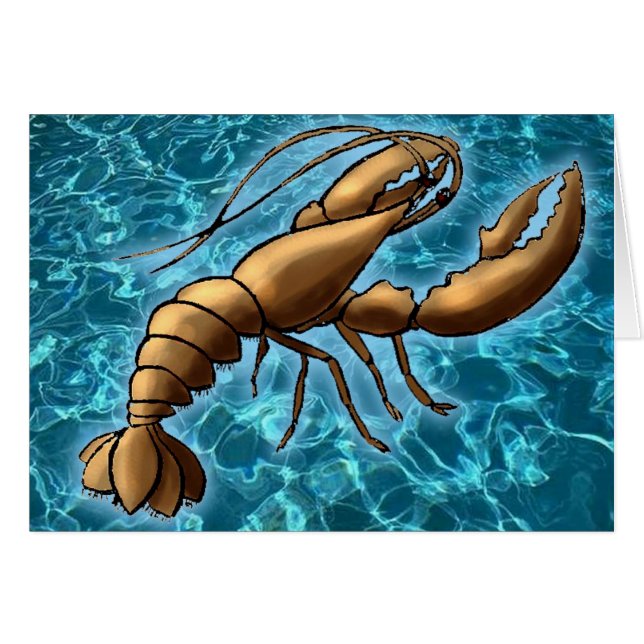 Cartão Camarão (Frente Horizontal)