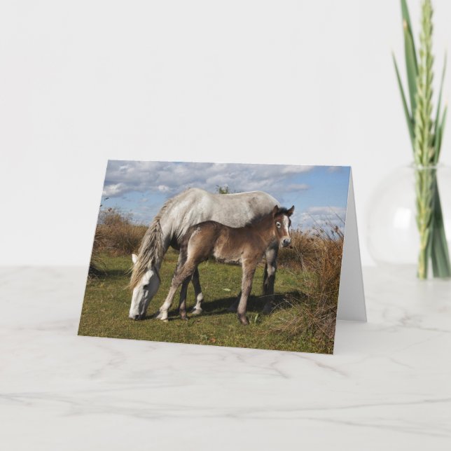 Cartão Camargue Horse Foal com Mãe (Frente)