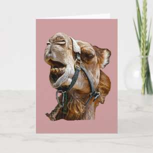 Cartão Camel