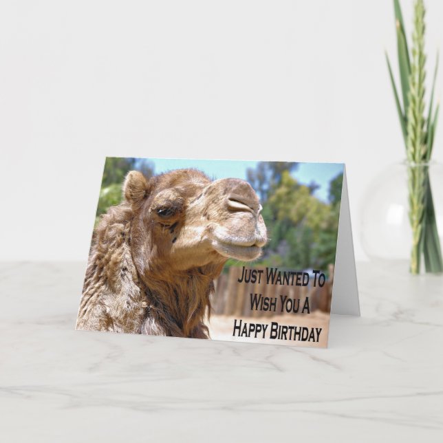 Cartão Camel Birthday Card (Frente)