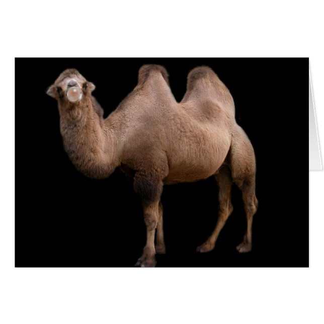 Cartão Camel Bubble (Frente Horizontal)