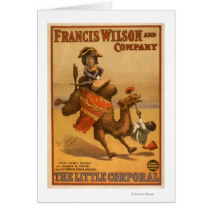 Cartão Camel Egípcio Baby Theatr