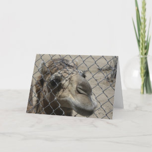 Cartão Camel Hello card