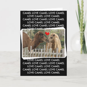 Cartão Camel LOVE - NO BOUNDARIES