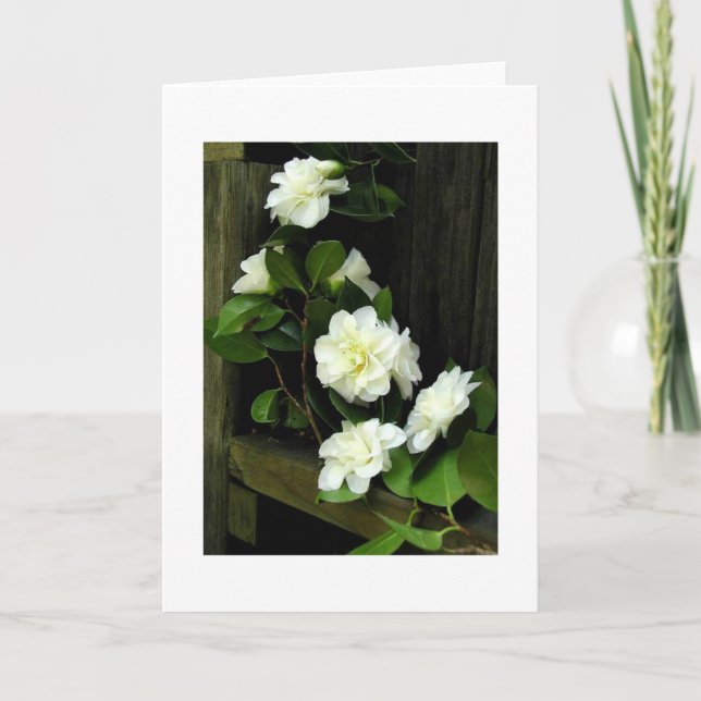 CARTÃO CAMÉLIAS (Frente)