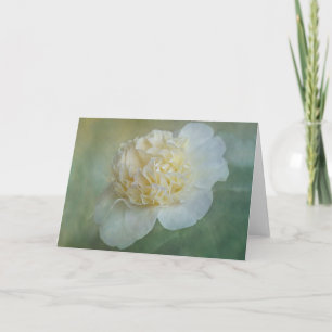 Cartão Camellia