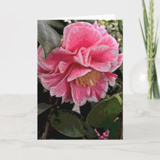 Cartão Camellia