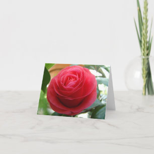 Cartão Camellia Notecard